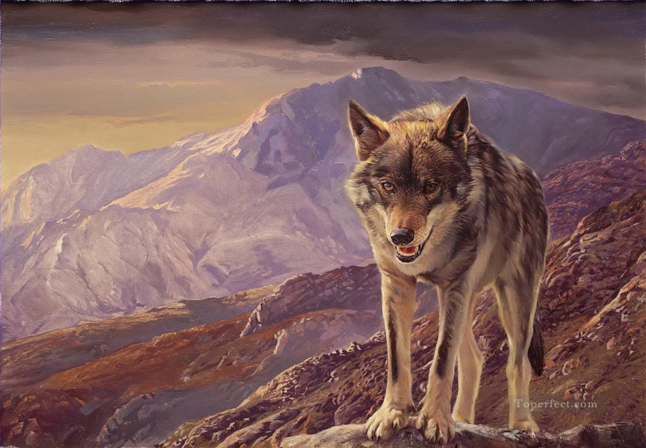 loup à Montagne Peintures à l'huile
